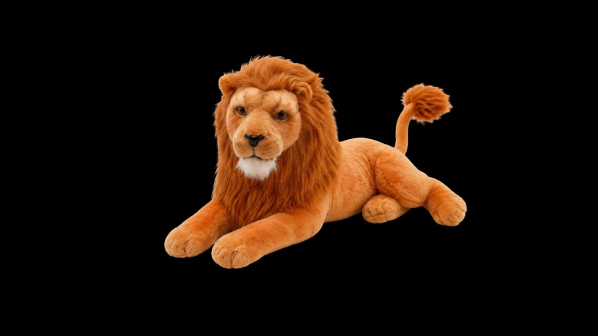 lion-surprise-3