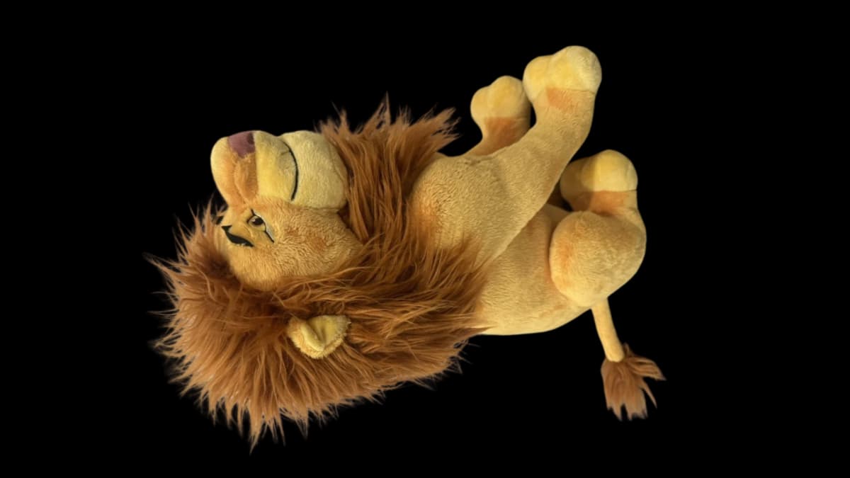 lion-surprise-1